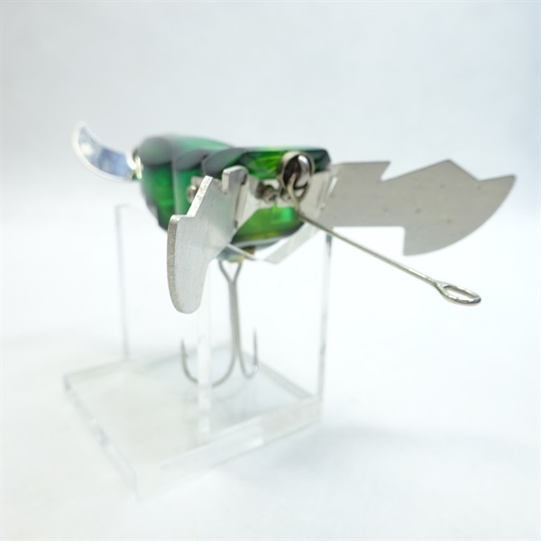 ガンディーニ．